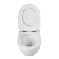 Унитаз подвесной безободковый с сиденьем и смывом ТОРНАДО BelBagno AMANDA-TOR BB051CH-TOR-FC/SC