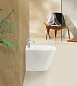 Биде напольное BelBagno ПРИТЯЖЕНИЕ (FLAY-R) BB1003B