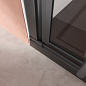 Душевая дверь в нишу CEZARES LINER-B-12-90-C-NERO-L