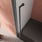 Душевая дверь в нишу CEZARES LINER-B-12-90-C-NERO-L